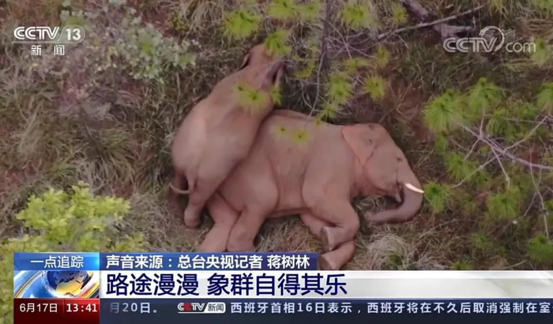 PG电子-PG(中国)一站式服务官方网站